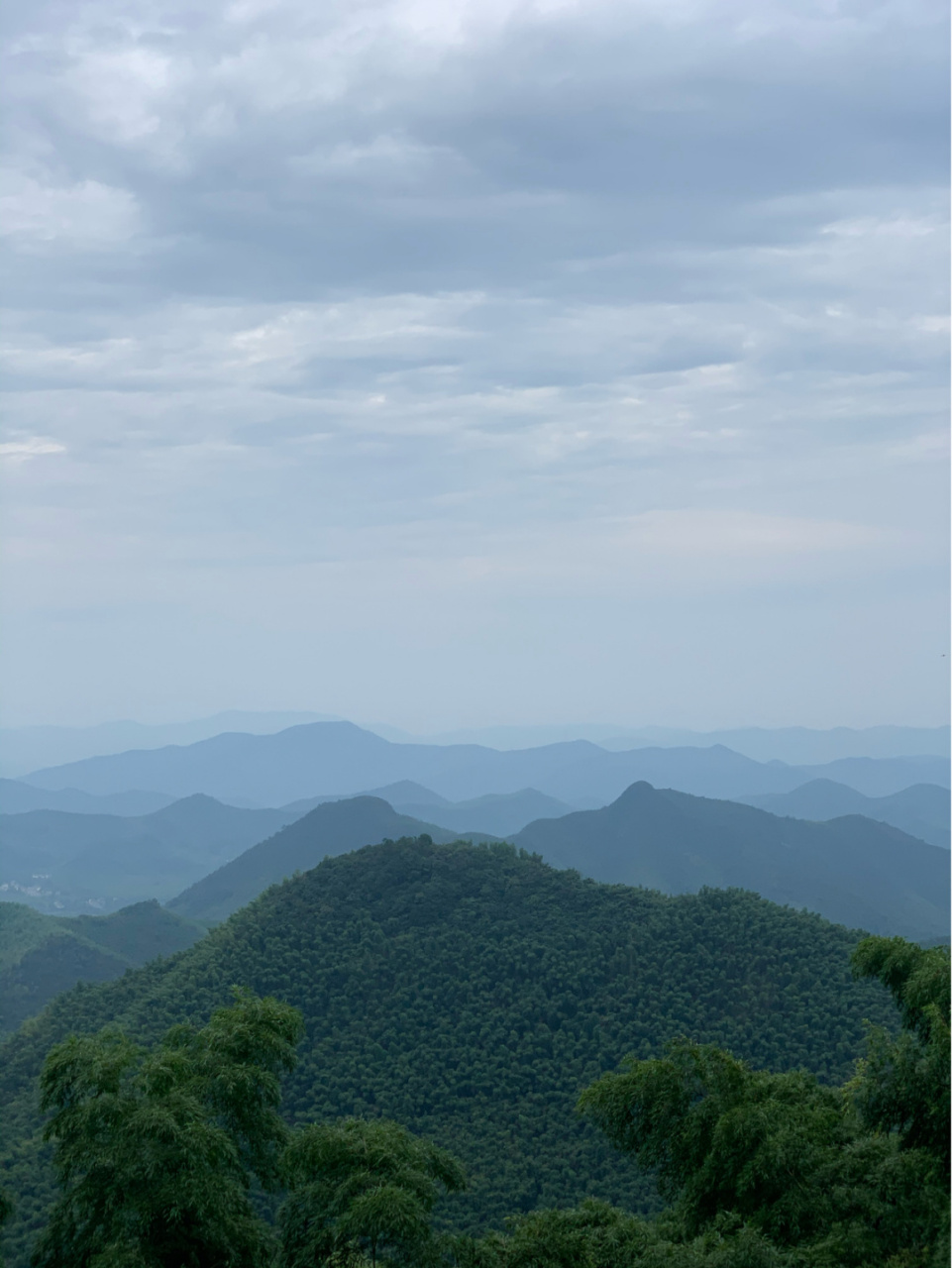 莫干山比较适合住一夜, 或许是因为历史故事, 每次入住府邸,这栋民国