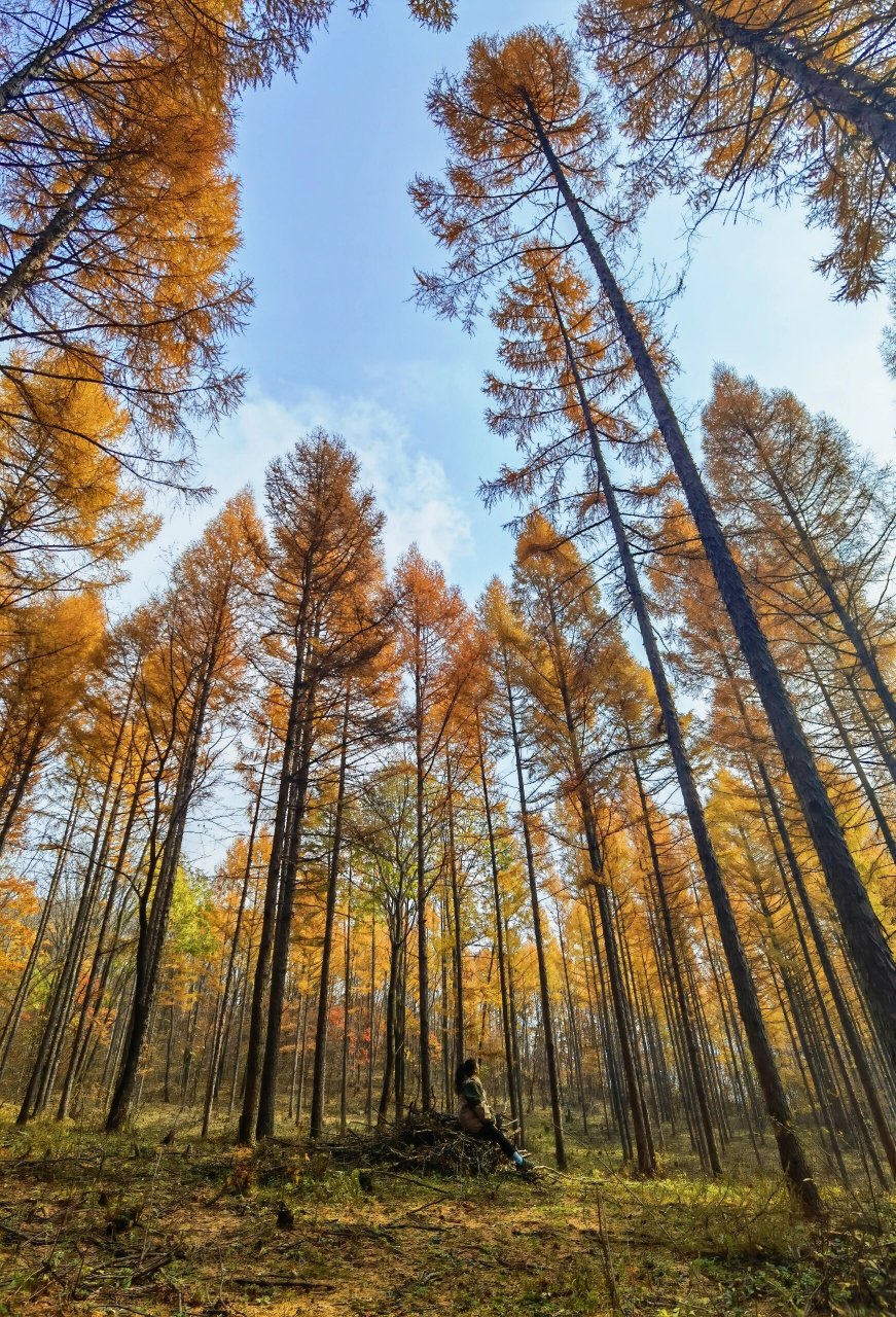 吉林周边必去徒步绝美地-蛟河鹿角沟 国庆之后的周末选择鹿角沟徒步
