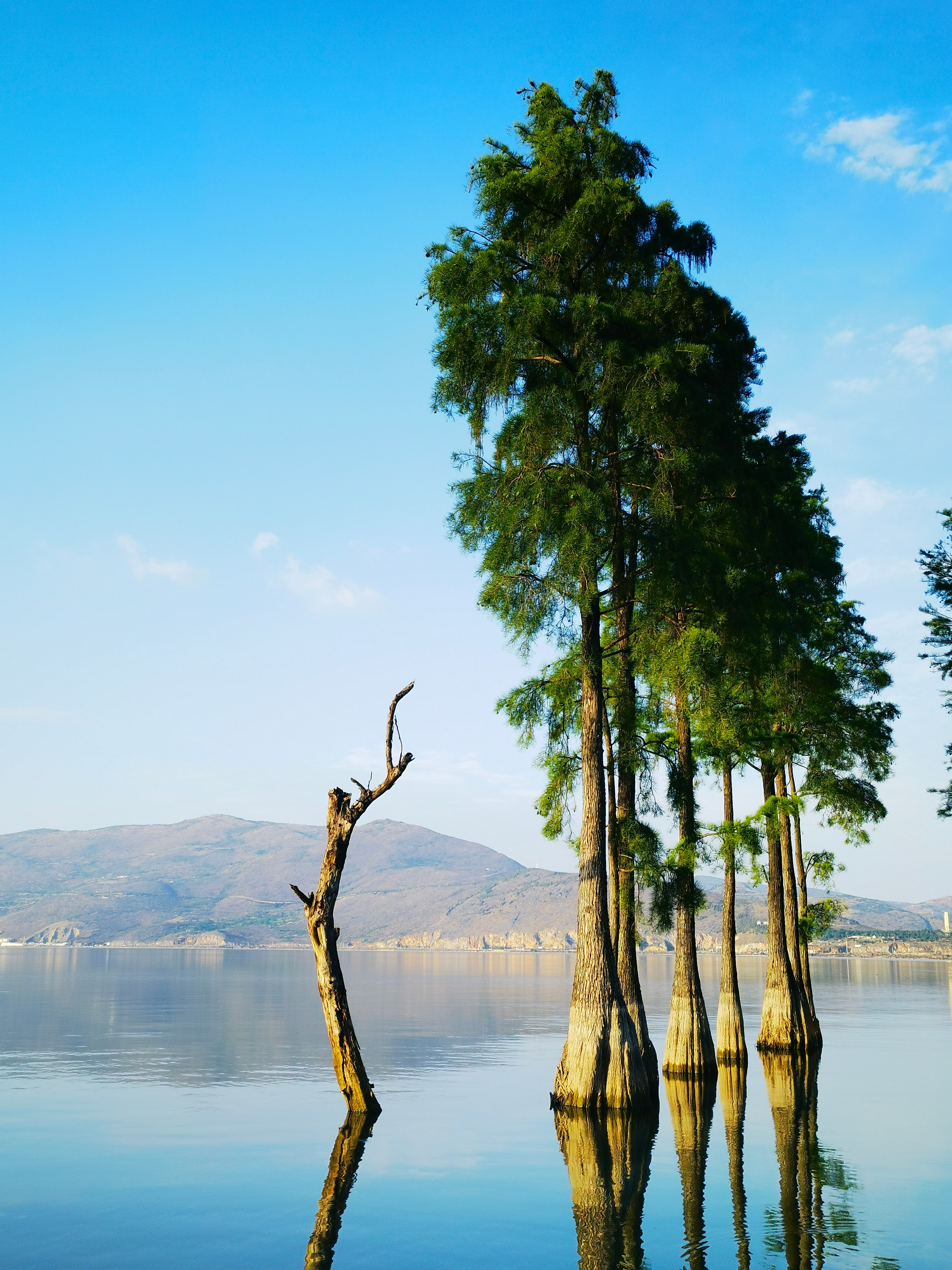 夫妻俩相互加油鼓励,时不时还停下来拍照游玩.