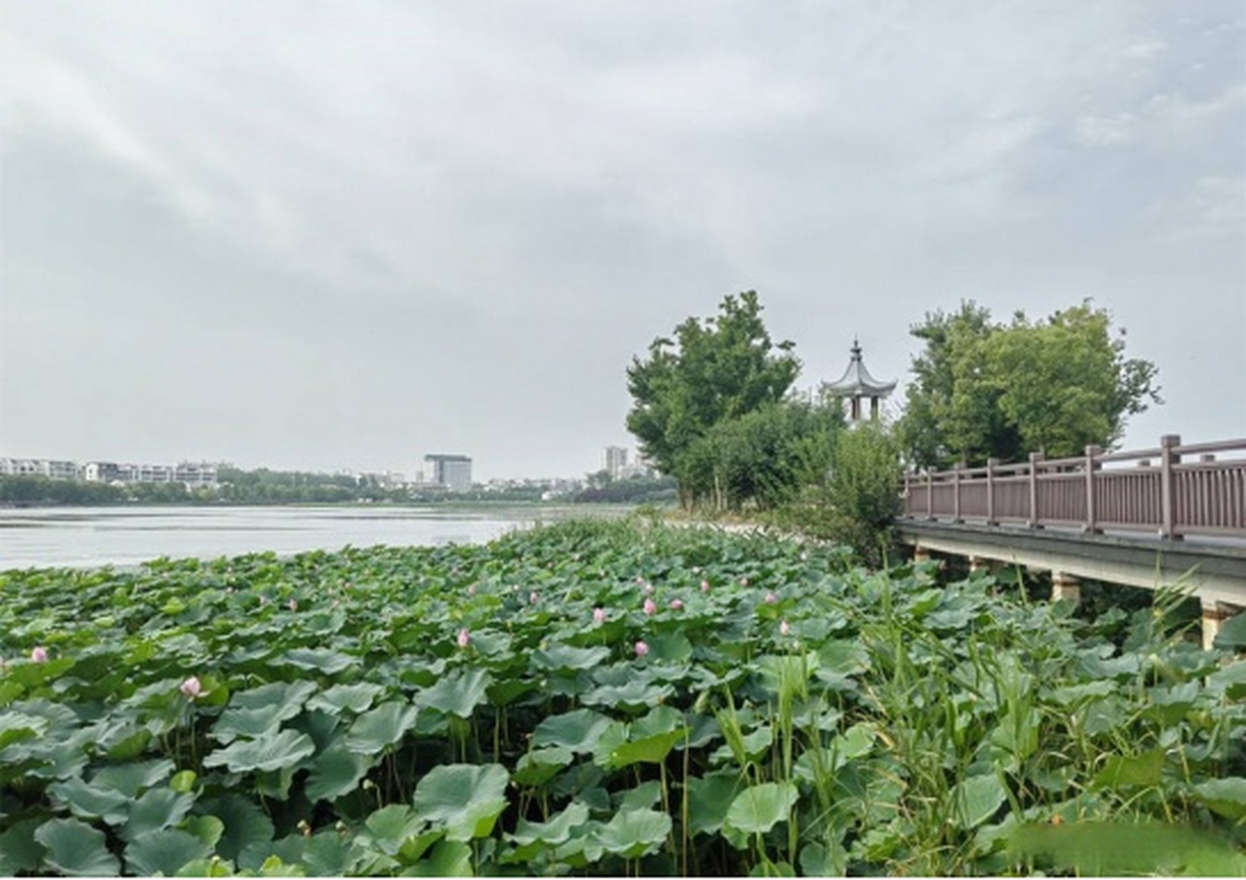 信阳东西湖风景区图片