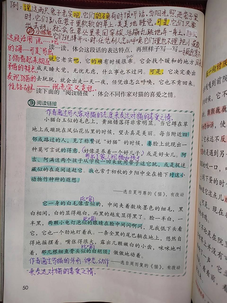 四年级下册语文第13课《猫》课文笔记