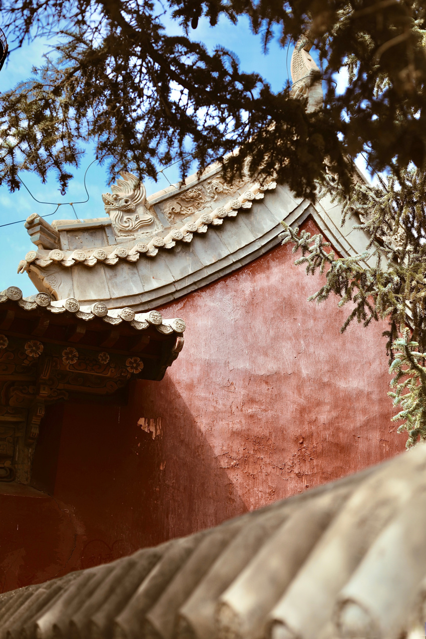 武威海藏寺 去过的最美寺庙之一 始建于东晋已有1700多年 寺院古建筑