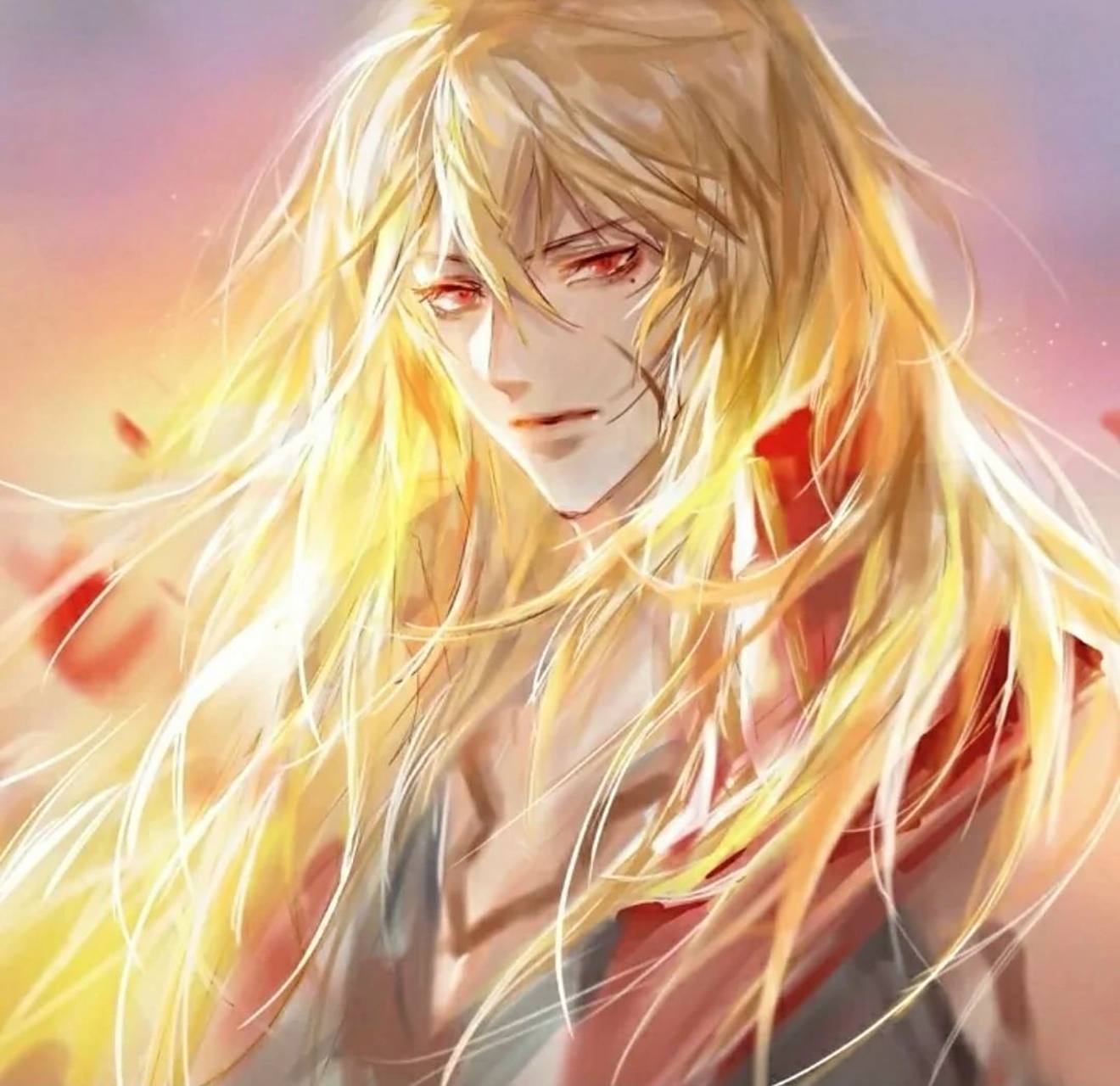 李信头像12  来啦!