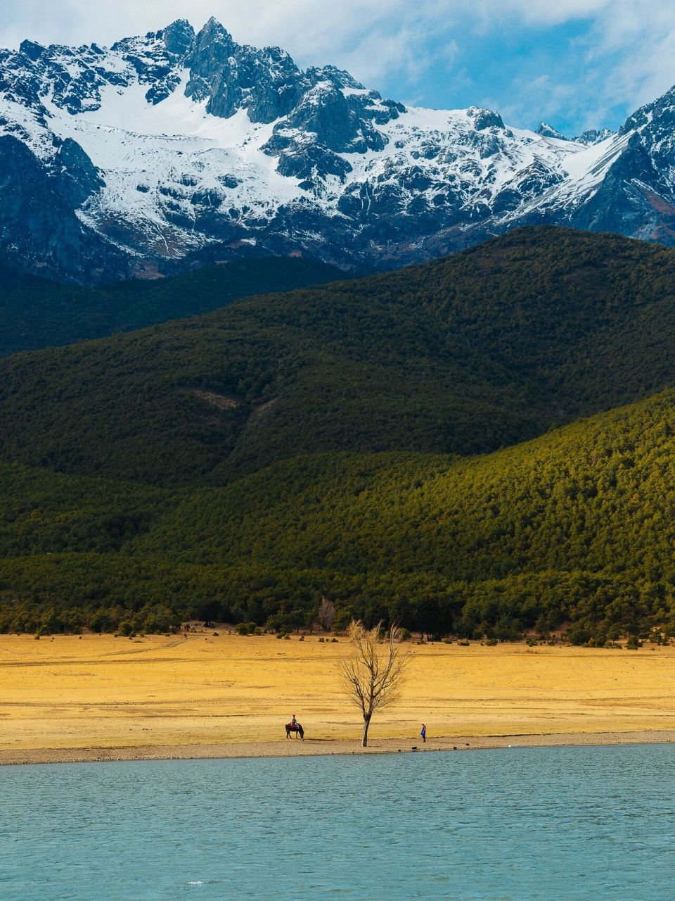 又来丽江!又到玉湖!骑马看山!⛰️丽江小 地点:丽江玉湖村 已经记