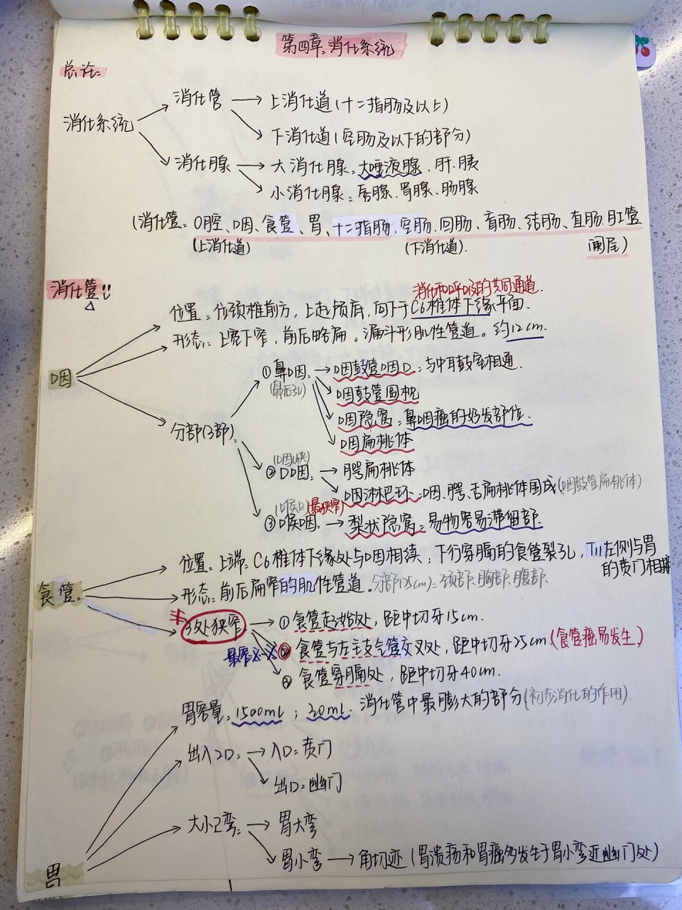 麦氏点定位图图片