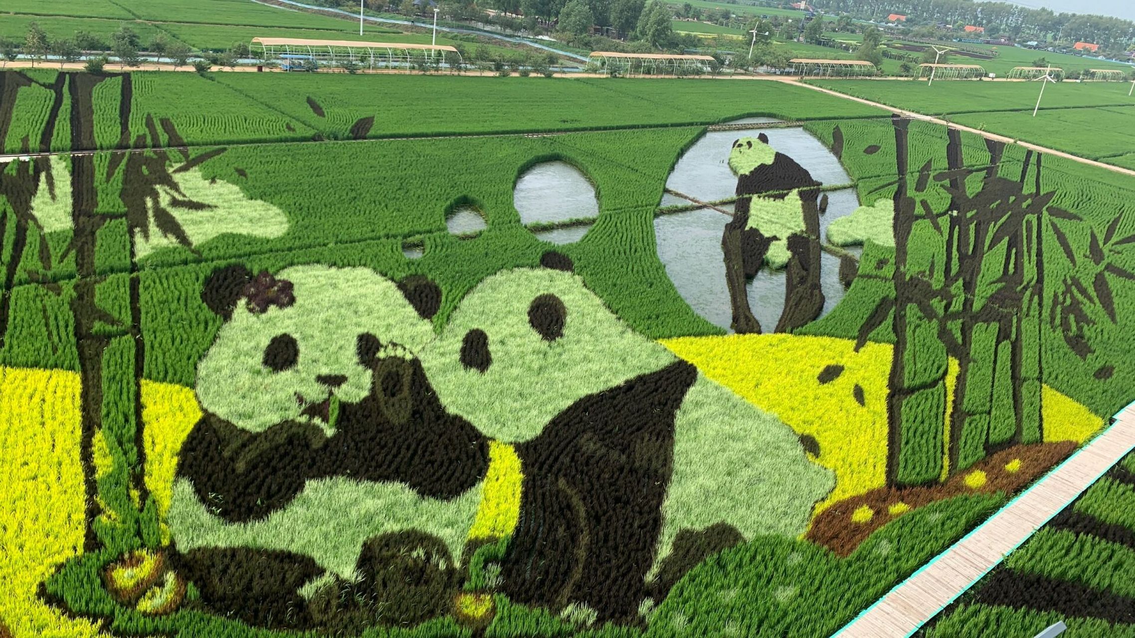 2023年7月 打卡沈阳稻梦空间     今天带娃打卡了沈北的稻梦空间.