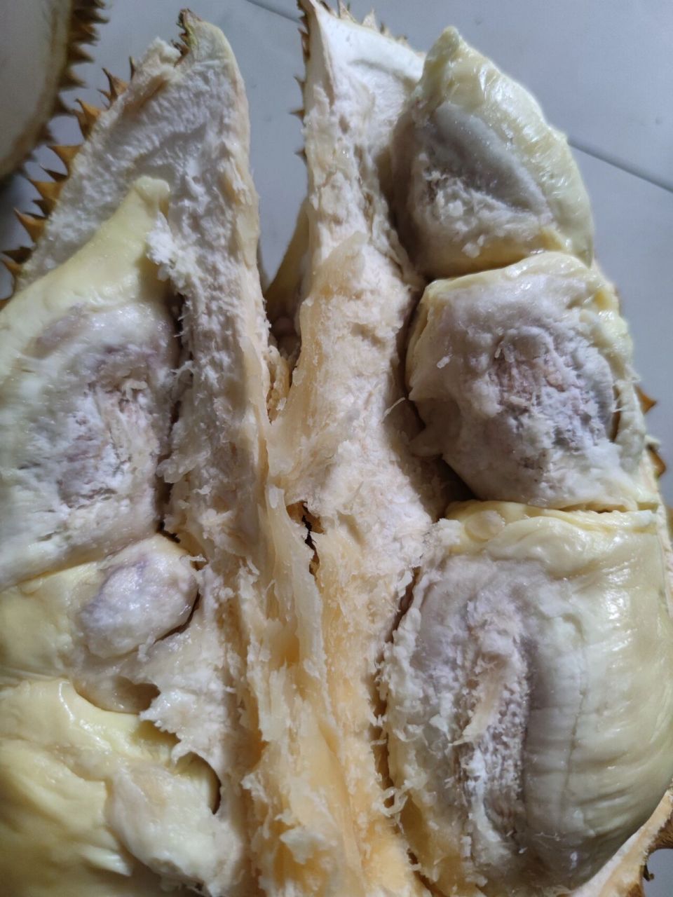 这个榴莲这样说坏了还是熟透了 这个榴莲这样说坏了还是熟透了