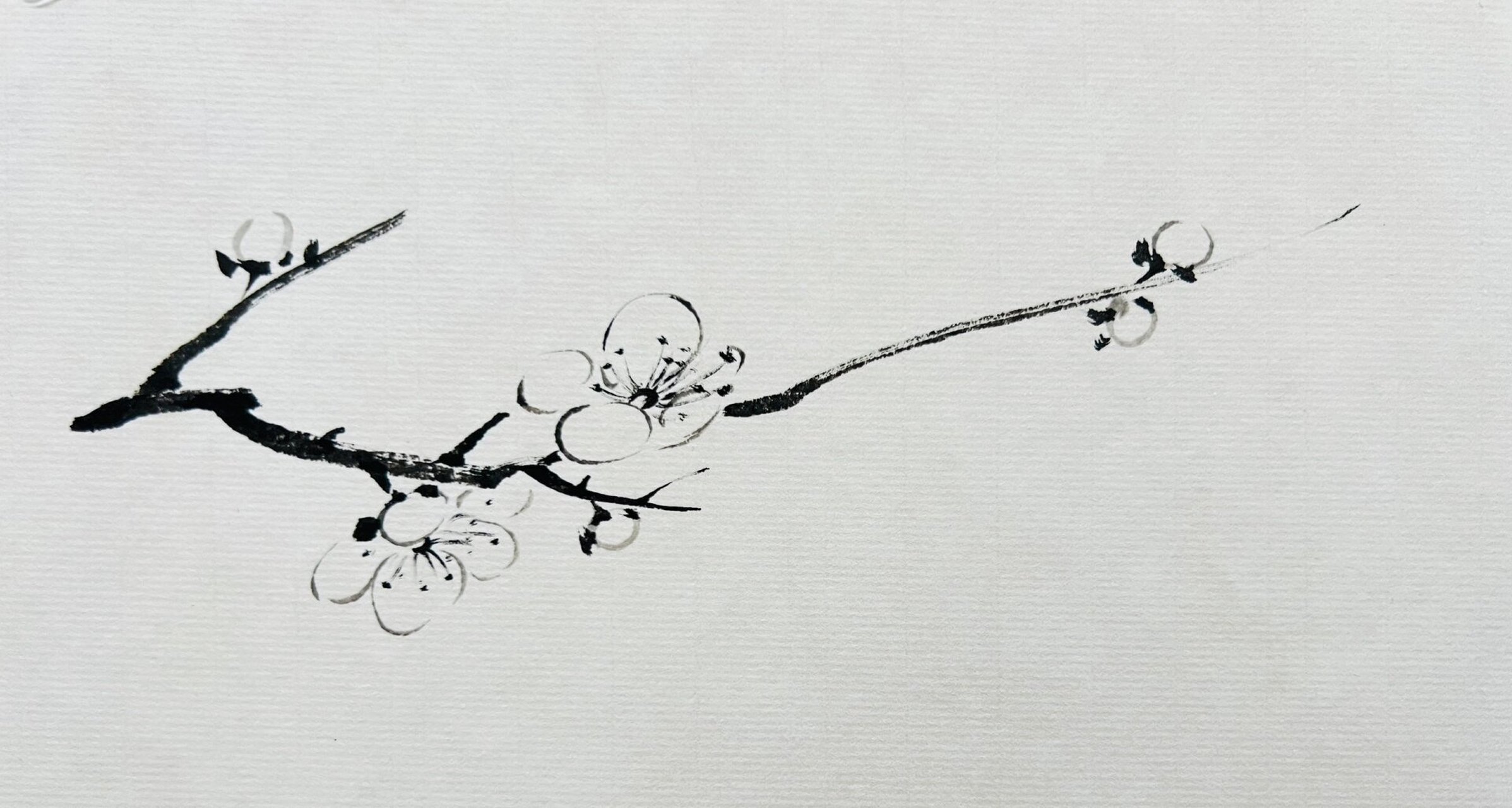 折枝梅花示范 主次,虚实,呼应,这些要素不仅体现在一枝梅花中,就连每