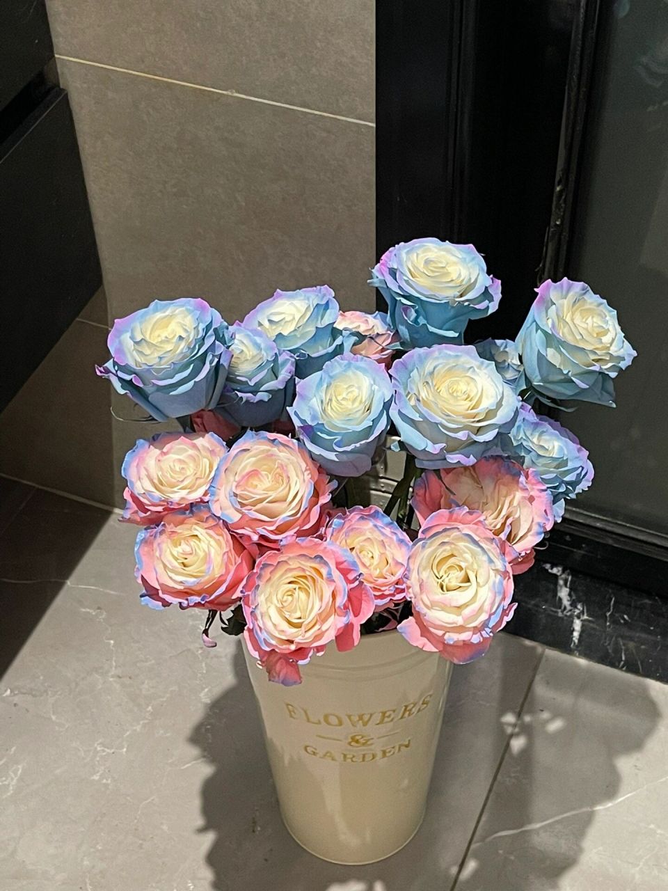 厄瓜多尔 双拼 泡泡糖77独角兽真的好可爱!