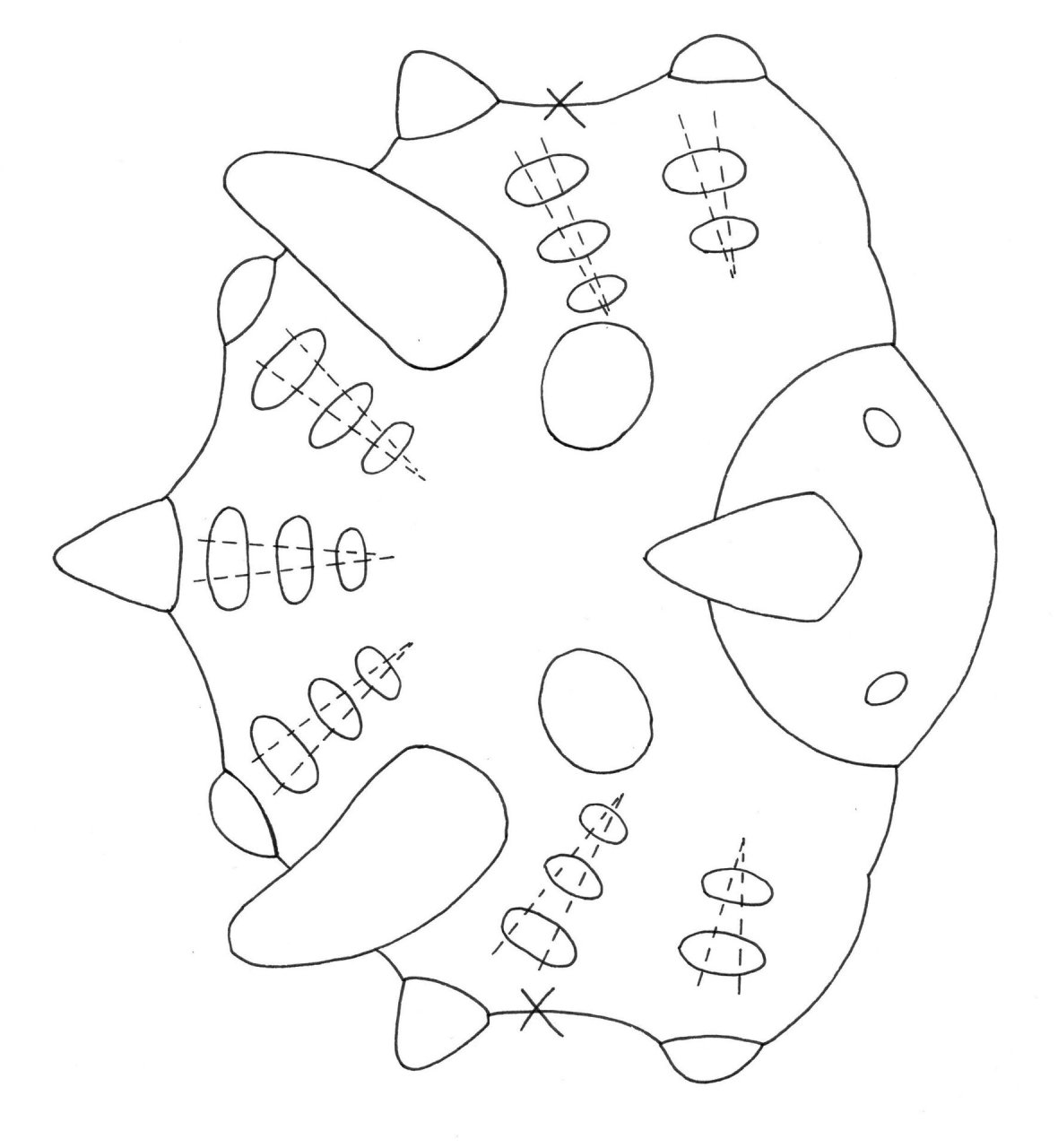 不织布恐龙面具 三角龙,霸王龙,剑龙 可a4直接打印