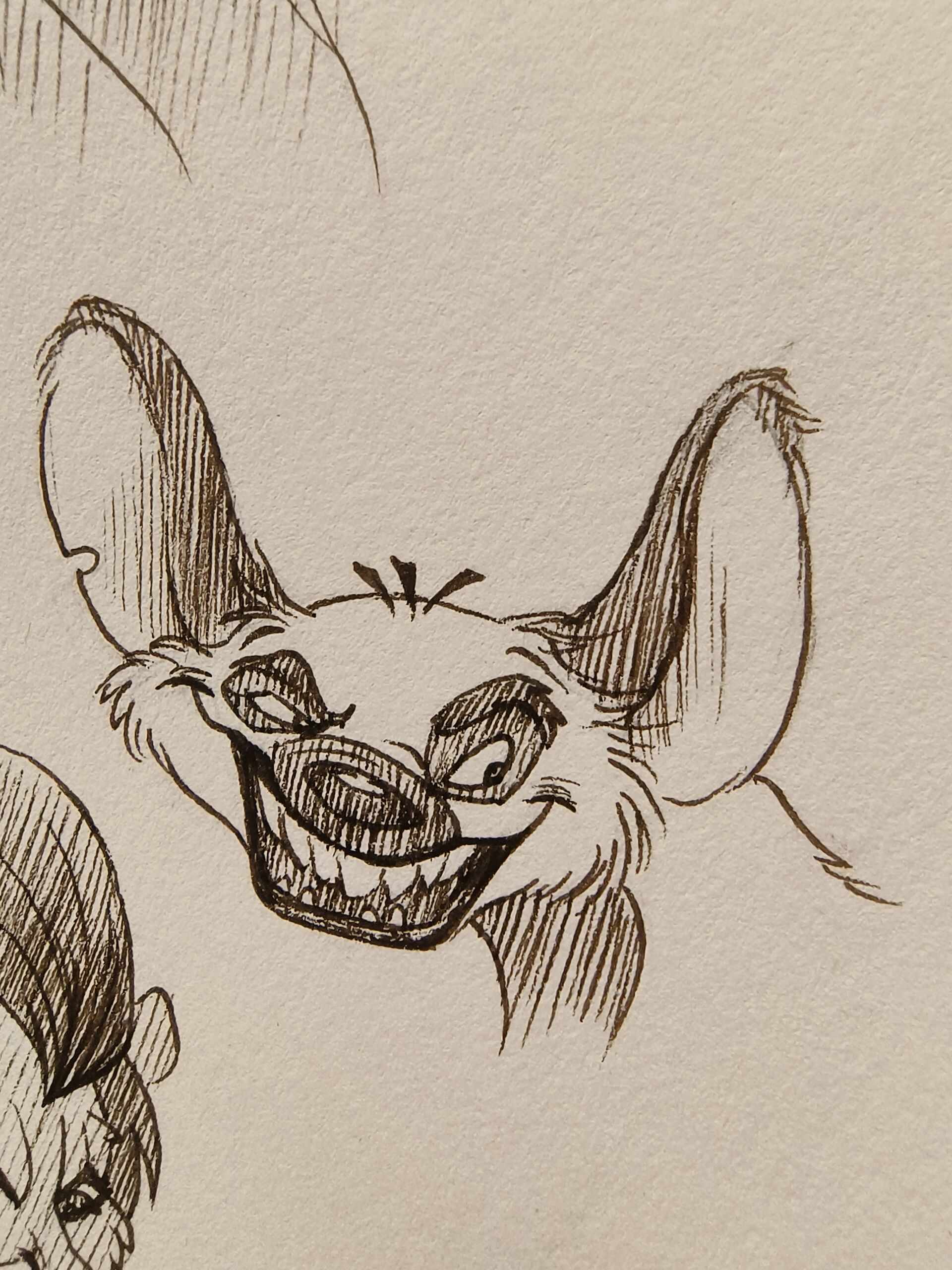 手绘74狮子王‖简笔画 狮子王来啦