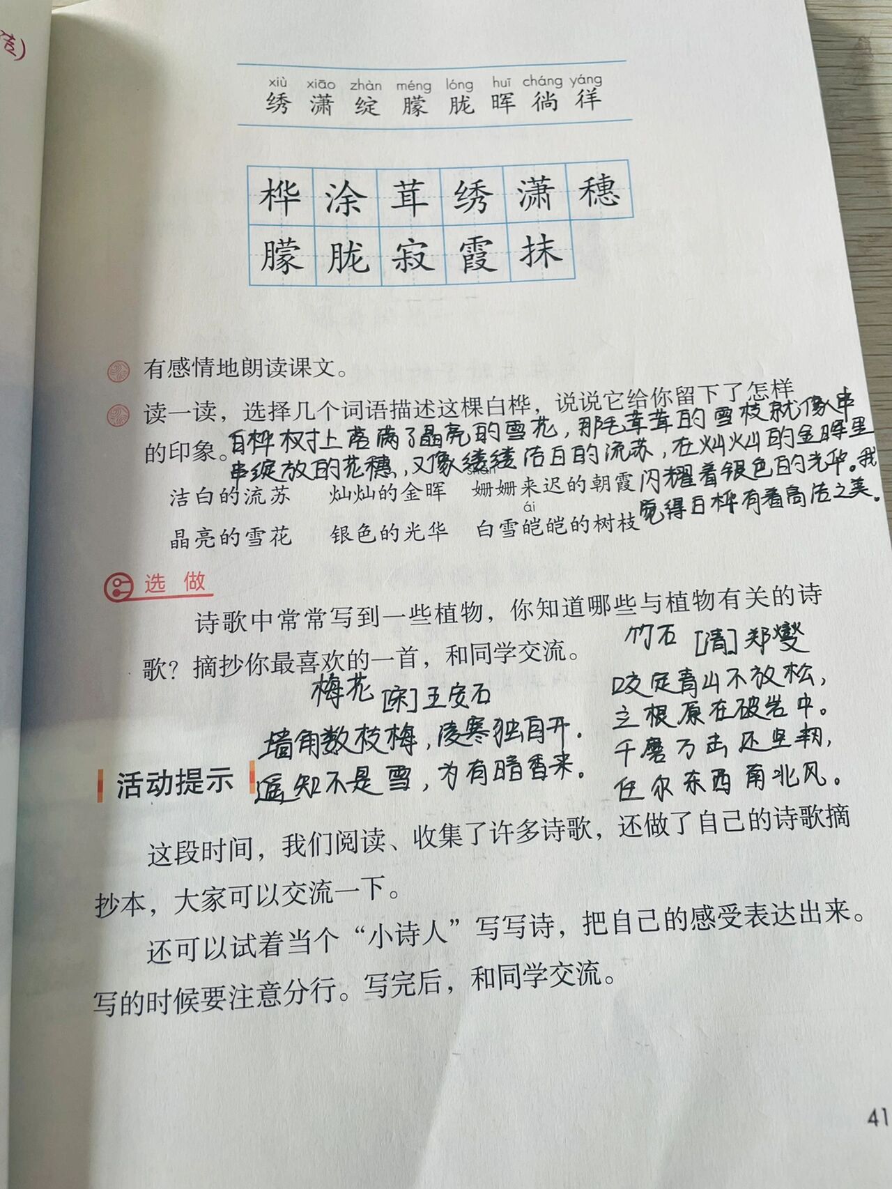 白桦课文 抄写图片