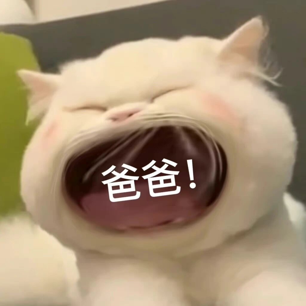 猫咪张大嘴表情包合集