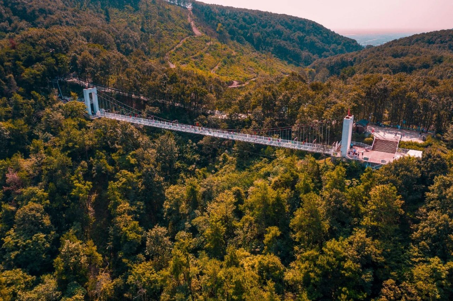 知音蔡甸遇见夏日清凉# 【坐着就可以登山顶?真的吗?