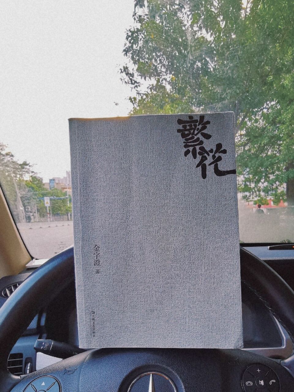 1|繁花落尽,一声不响 《繁花》 作者:金宇澄 .