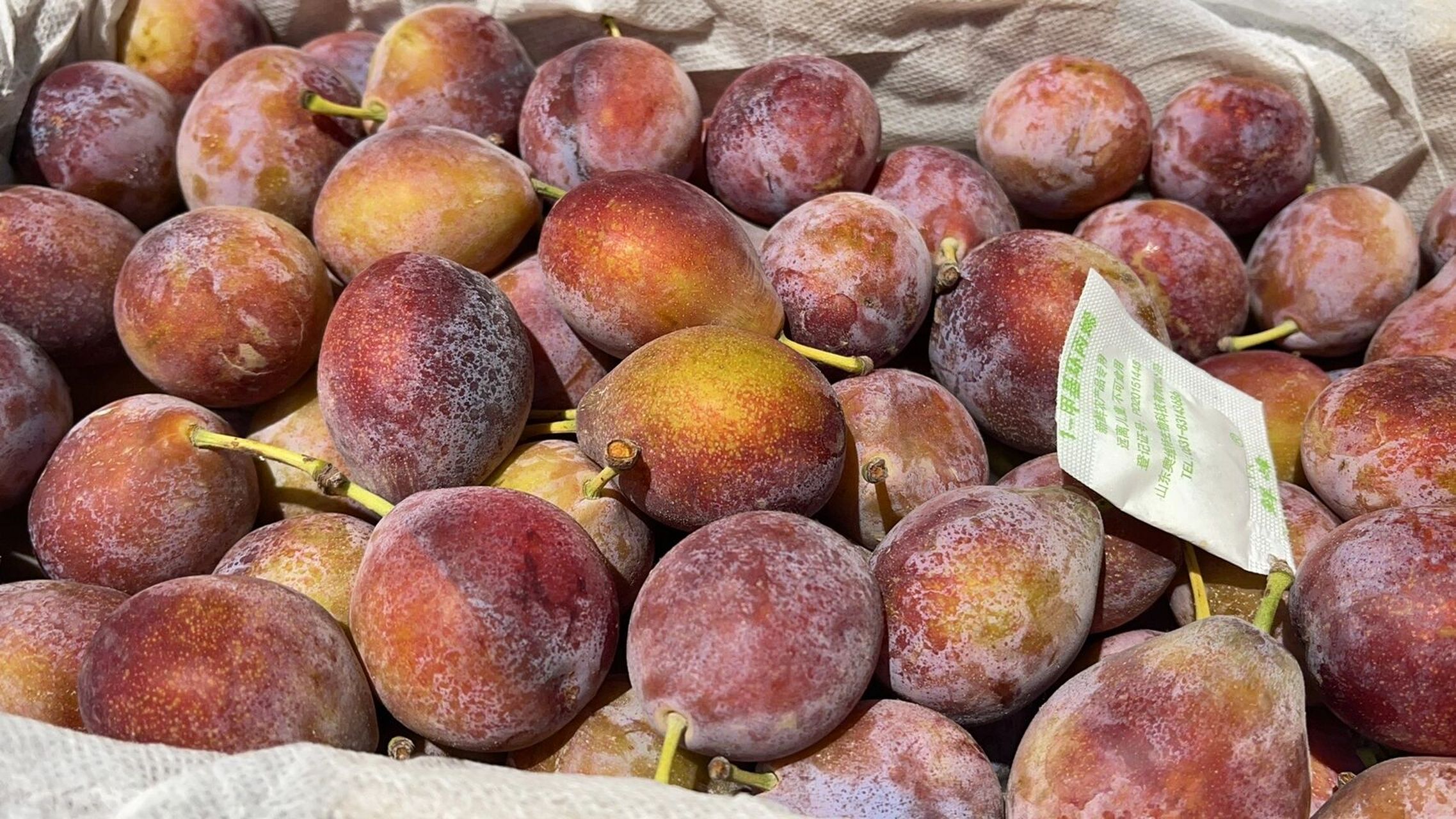 女神"长生果"法兰西 西梅 营养小巨人97 法兰西 西梅64硬脆, 果肉