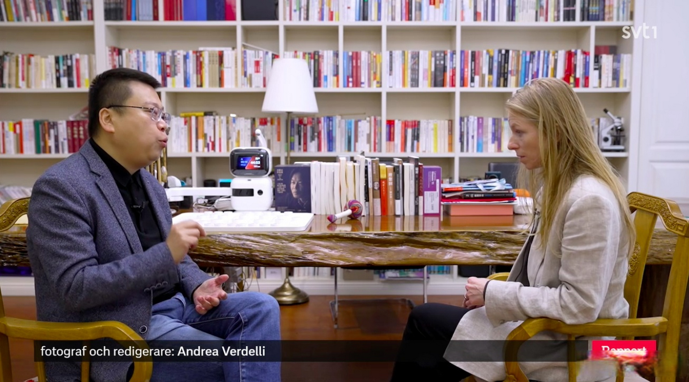 瑞典电视台的采访,关于ai 的话题