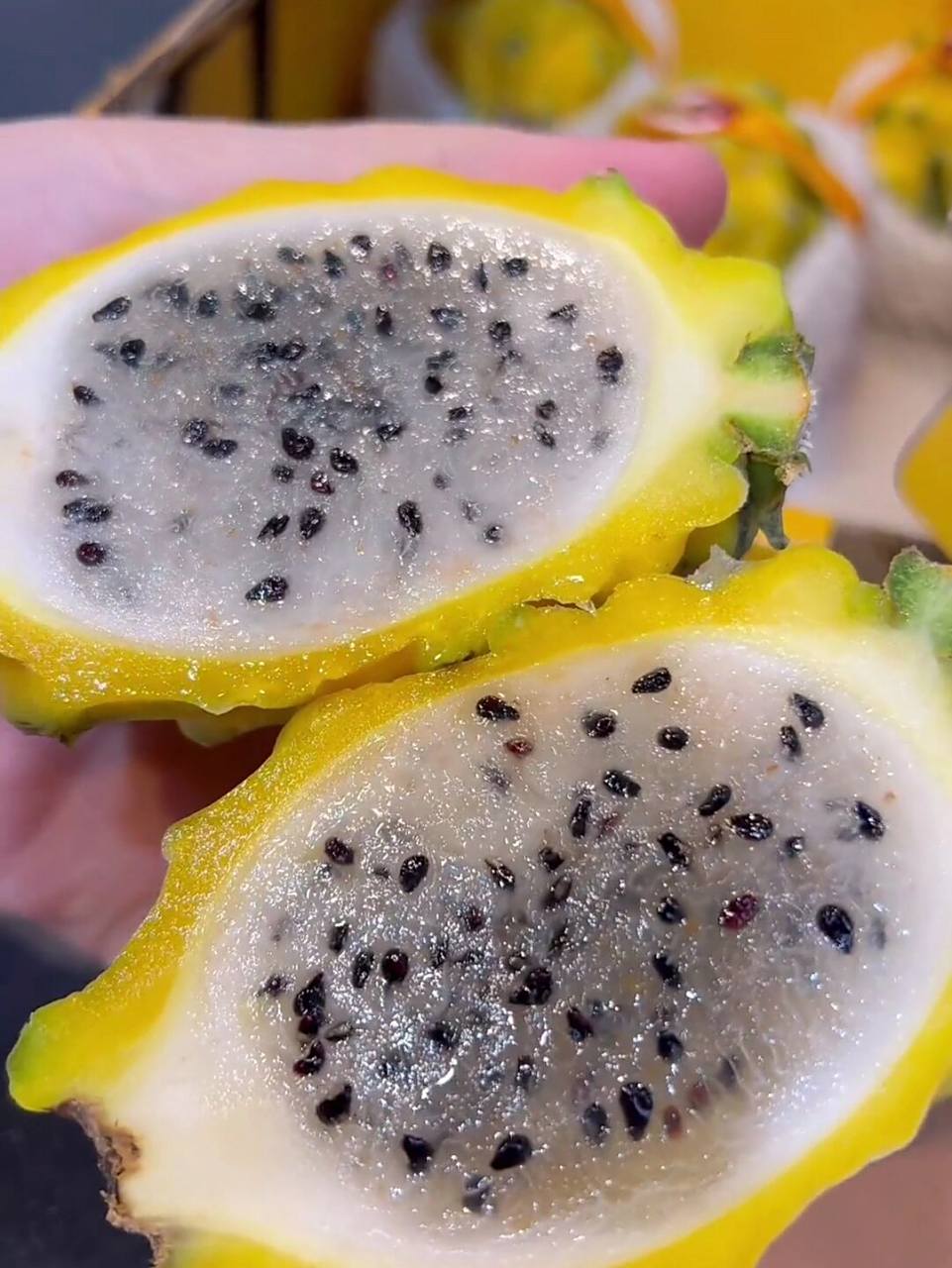 水果中的爱马仕——哥伦比亚燕窝果 7815燕窝果又叫麒麟果 78