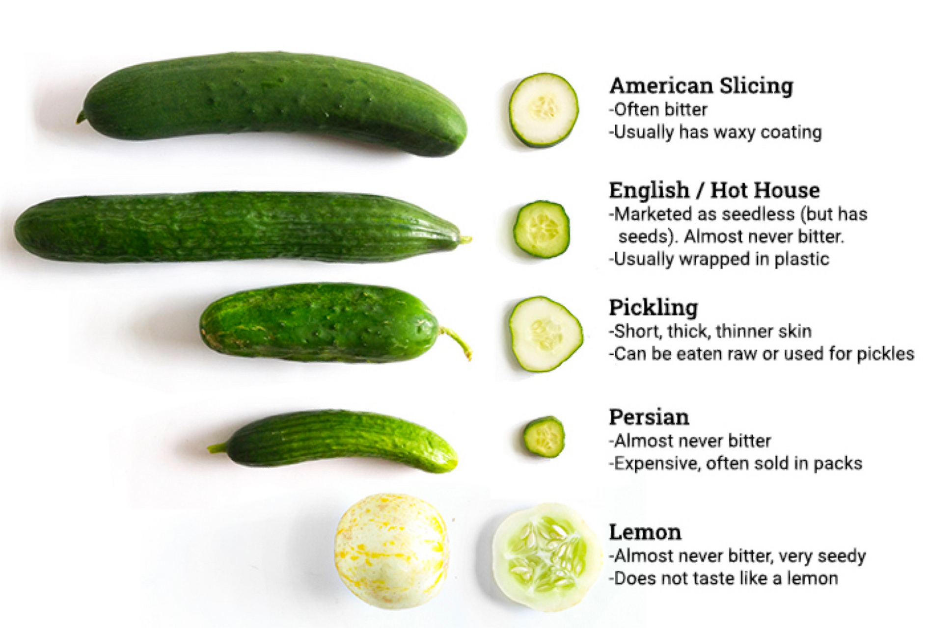 cucumber分类 | 北美八种常见黄瓜类型大起 美国很多蔬果都还不错
