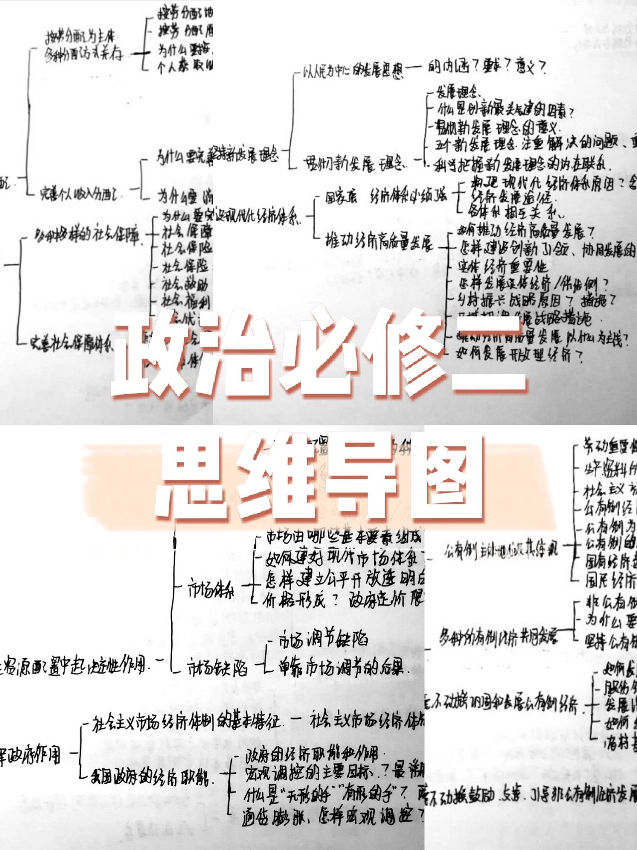 政治必修二思维导图