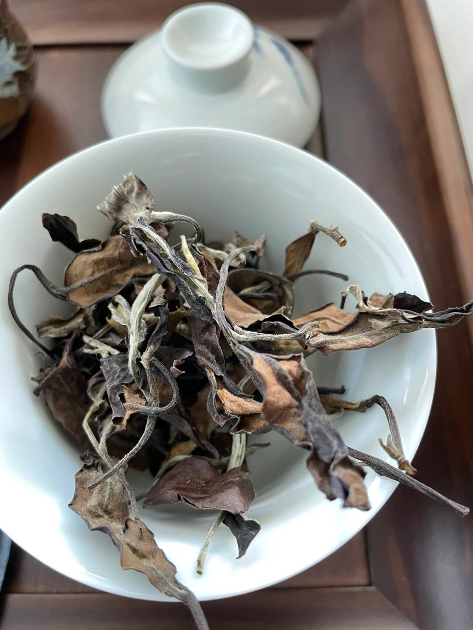 云南古树白茶 云南古树茶 历经岁月沧桑,却葆持着古树茶的傲然风骨