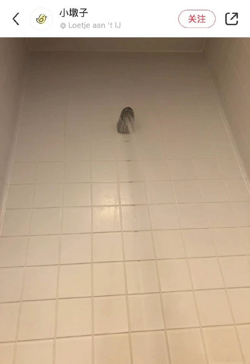 荷兰人的身高真的有那么高么?