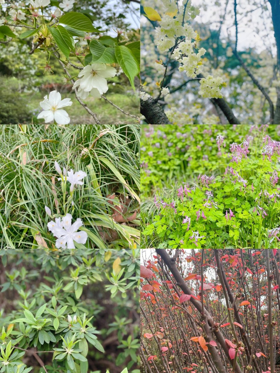 29 锡惠公园游记 又游锡惠公园～ 	 走过锡山大桥,穿过桥洞 今天锡山