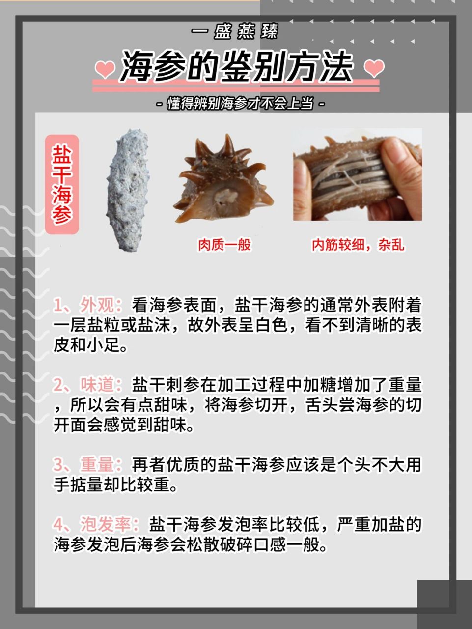 真假海参的鉴别图片图片