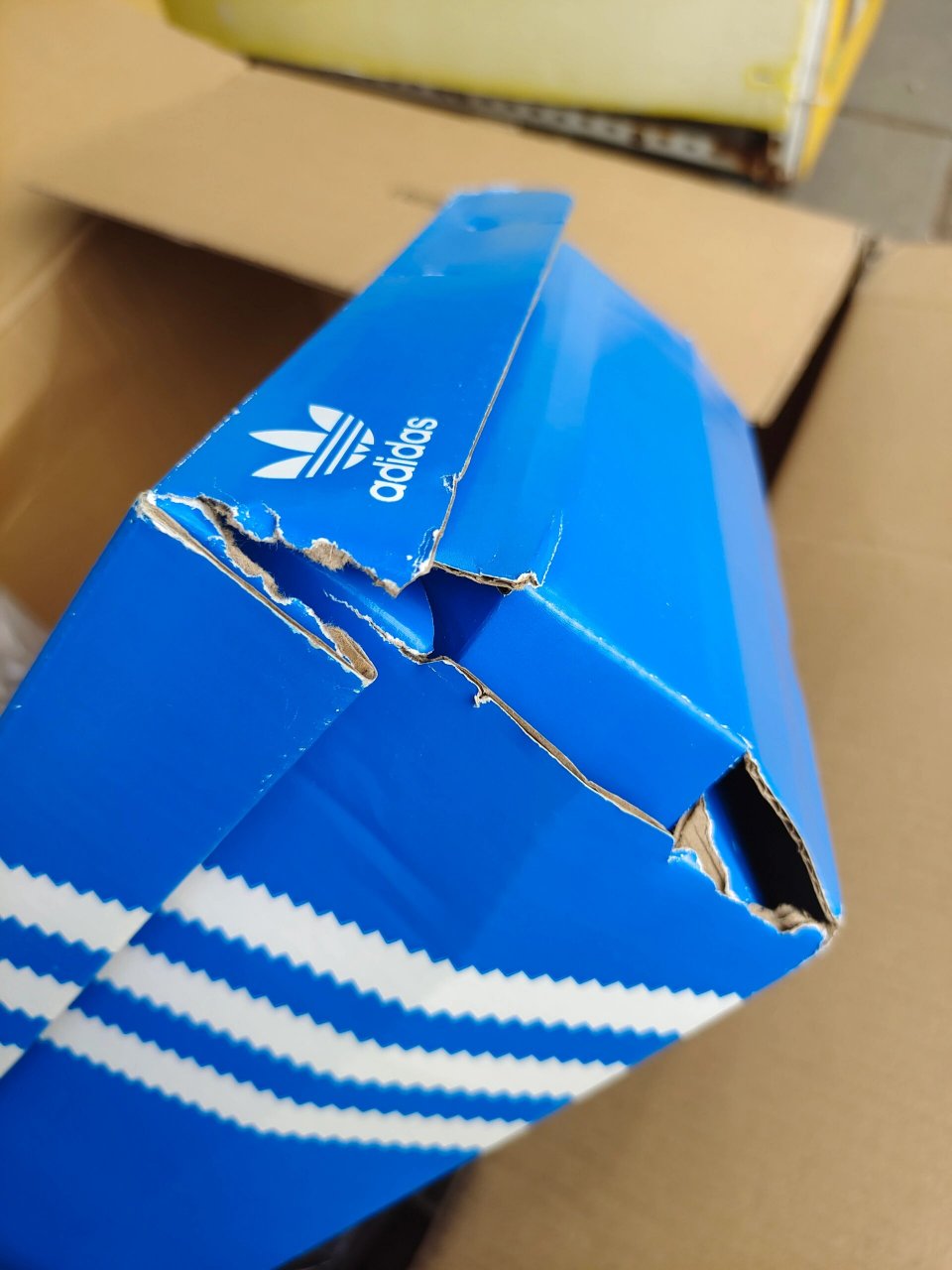 得物弄坏鞋盒 在得物放很久的一双鞋,取回鞋盒破损,开始放过去留底图