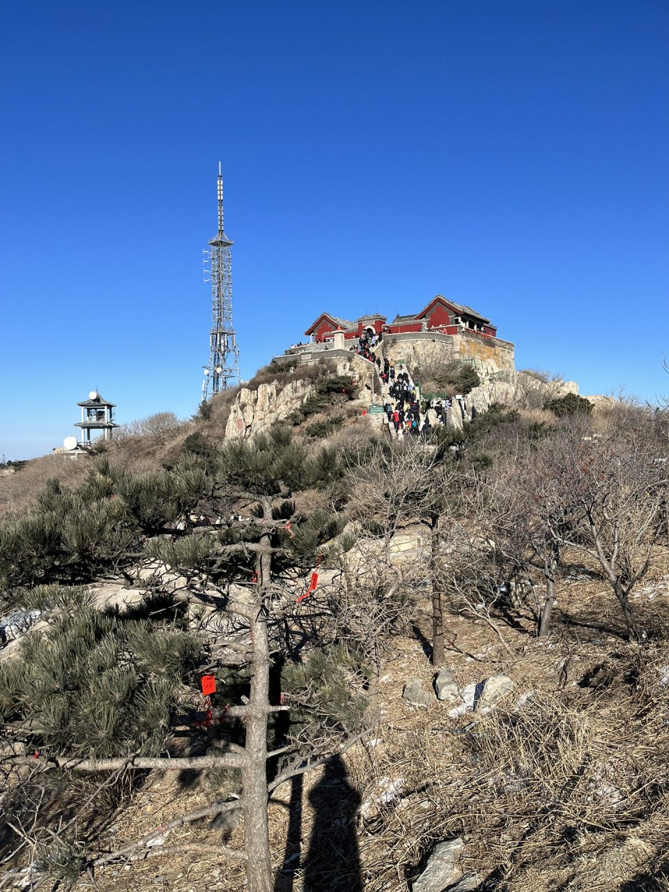 泰山山顶的风景图片