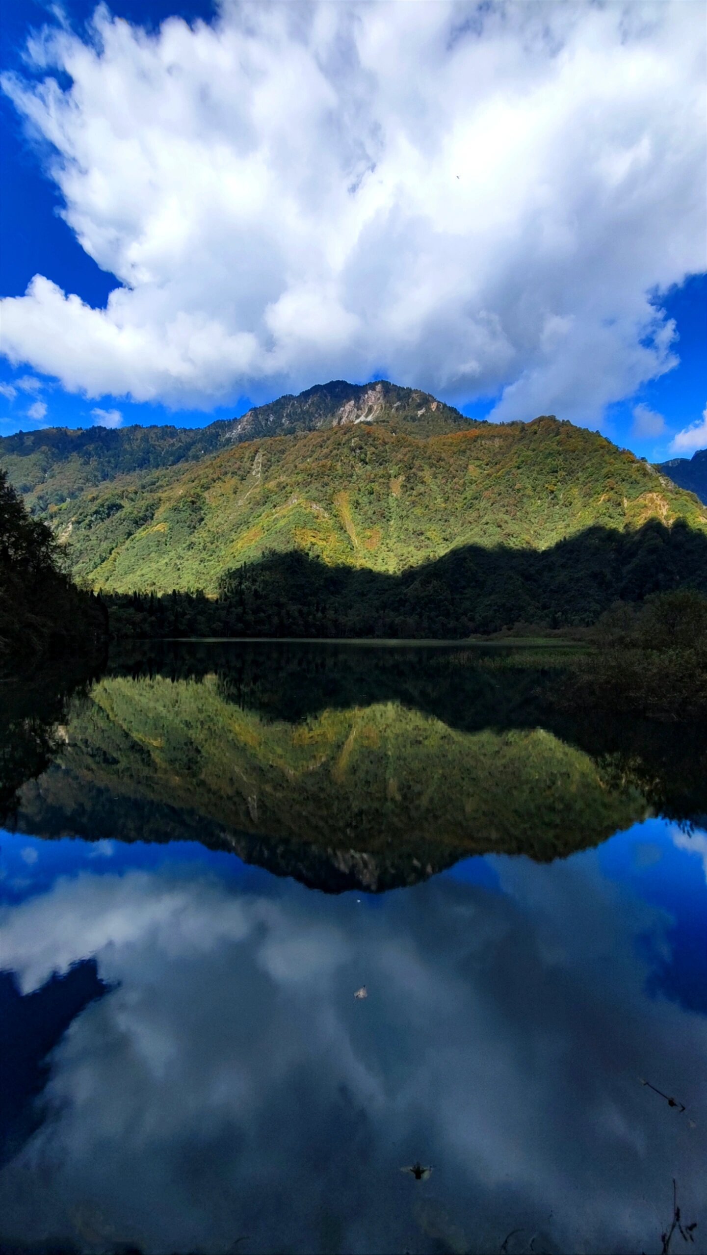 都江堰龙池风景区图片图片