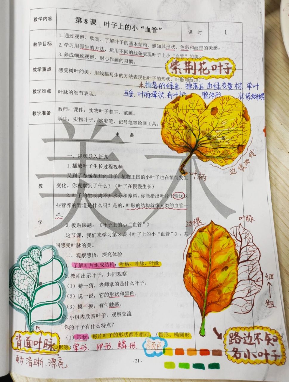 人教版二年级下册《叶子上的小"血管"》
