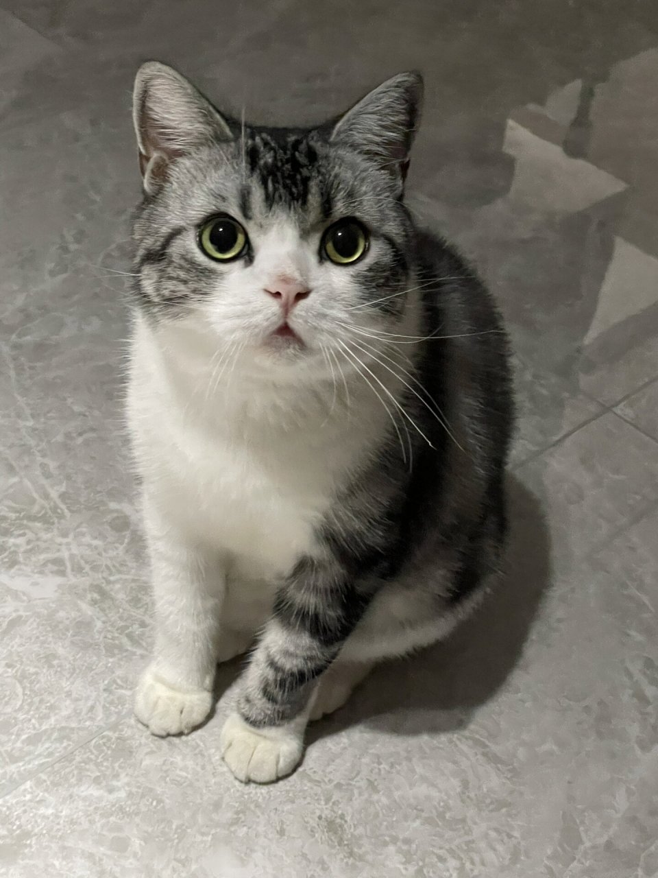 花臂大佬93 今天好好展示一下花臂吧