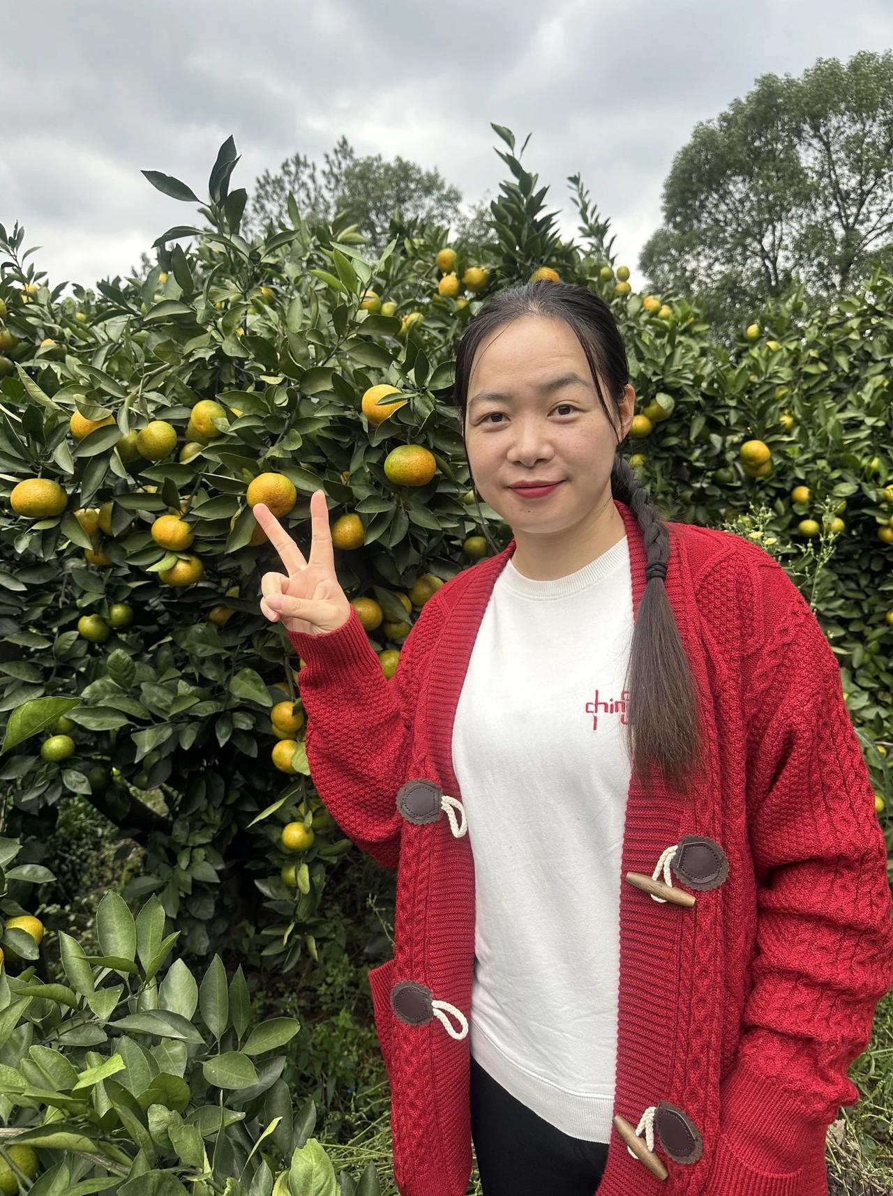 大家好,我是黄小仙,来自湖南慈利山区,我小姨家的橘子熟了,欢迎大家来