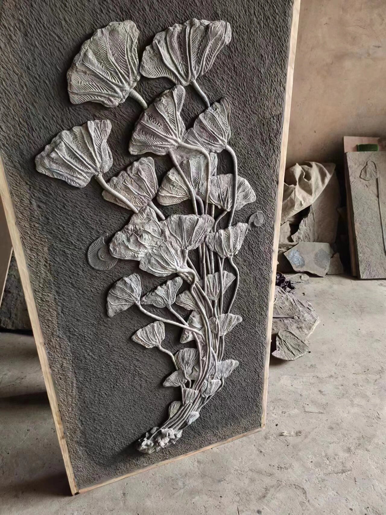 贵州海百合国宝级化石 海百合,是棘皮动物门海百合纲动物的统称.