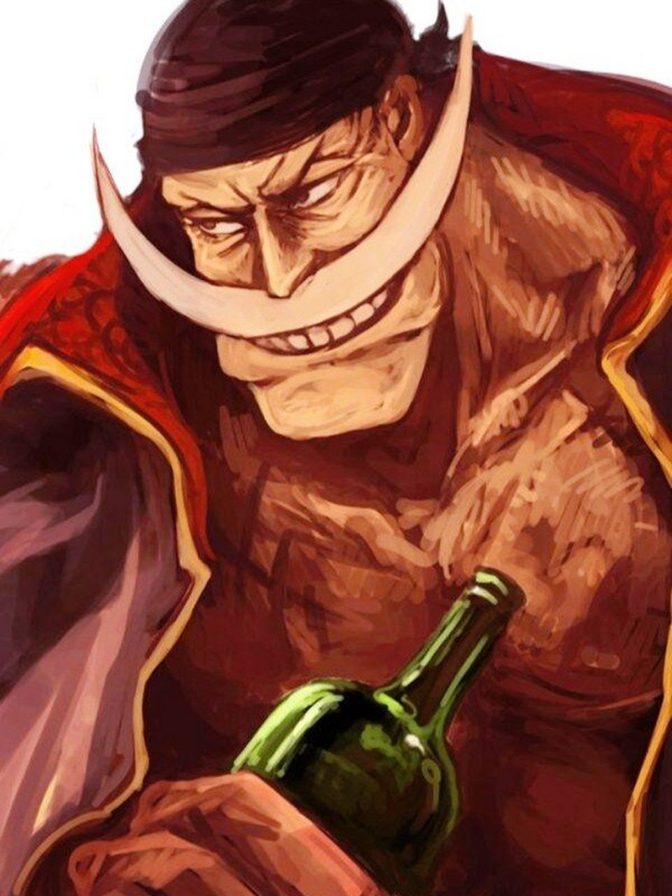 白胡子海贼团,日本漫画《海贼王》及其衍生作品中的组织