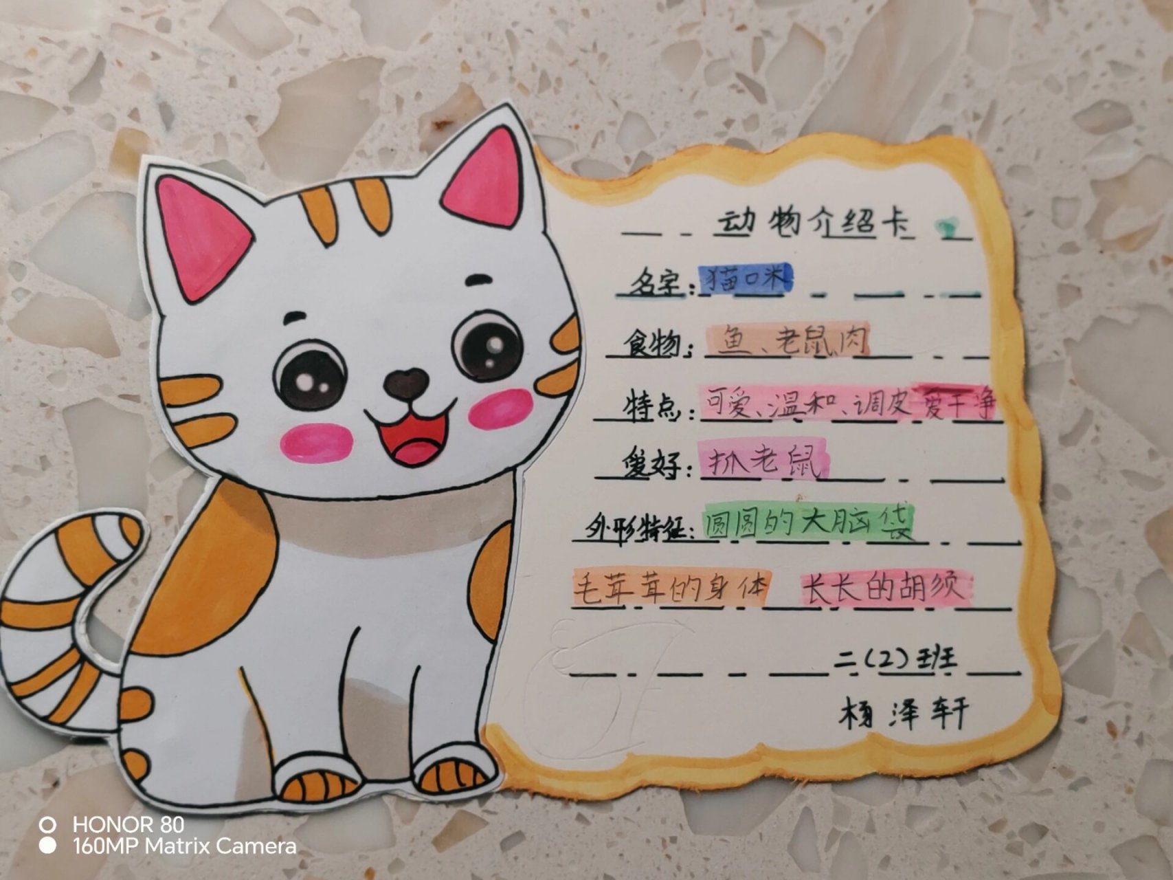 动物介绍卡 二年级上册,动物介绍卡!