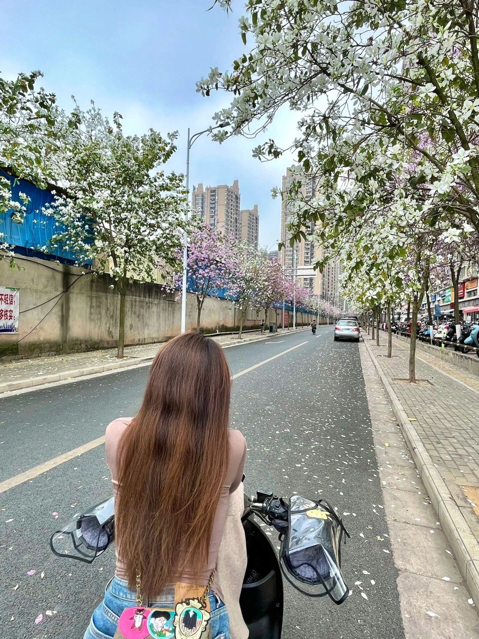 南宁最美花街 美女都给我去!