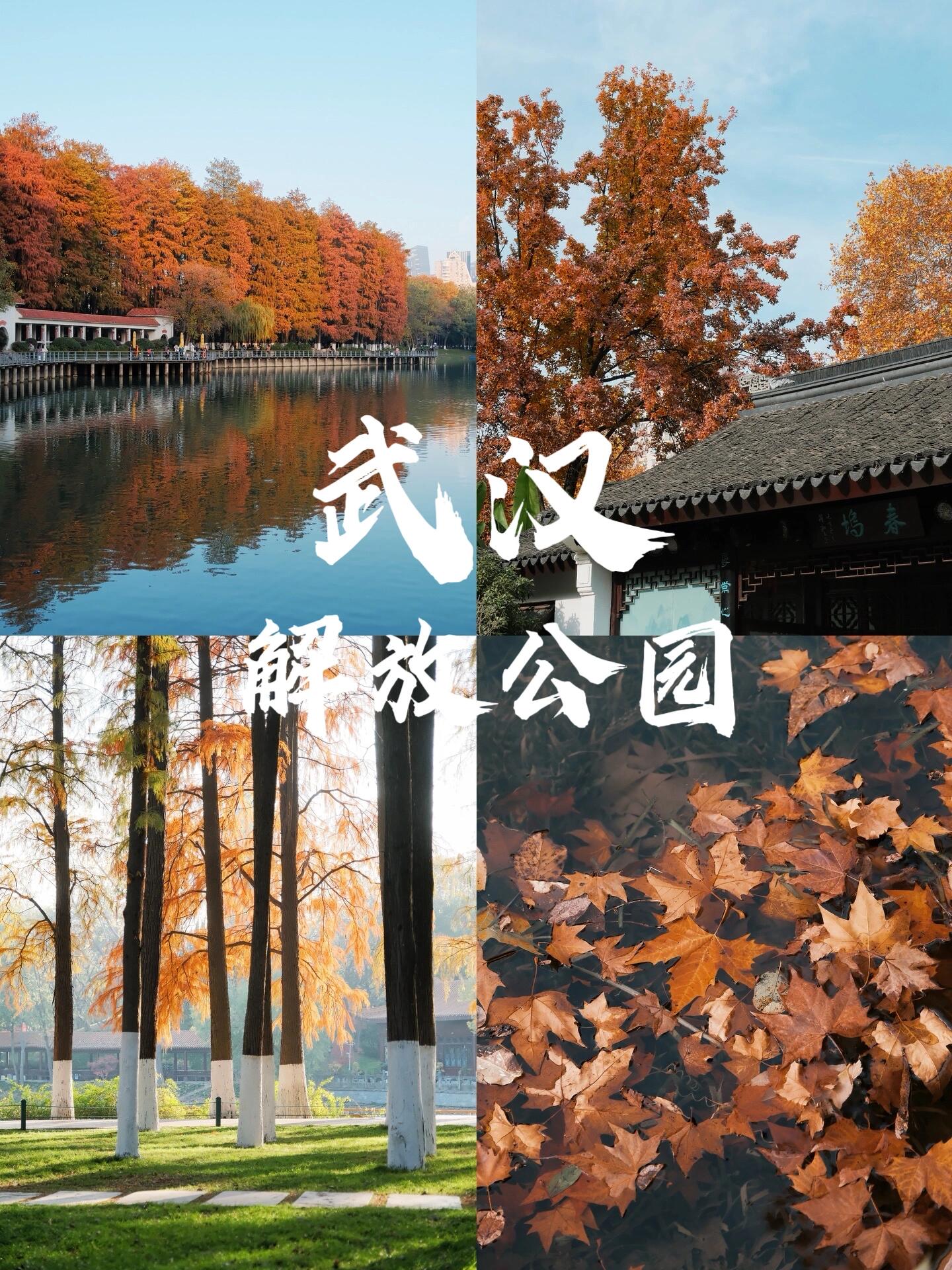 ?不会还有人没去过解放公园吧‼️