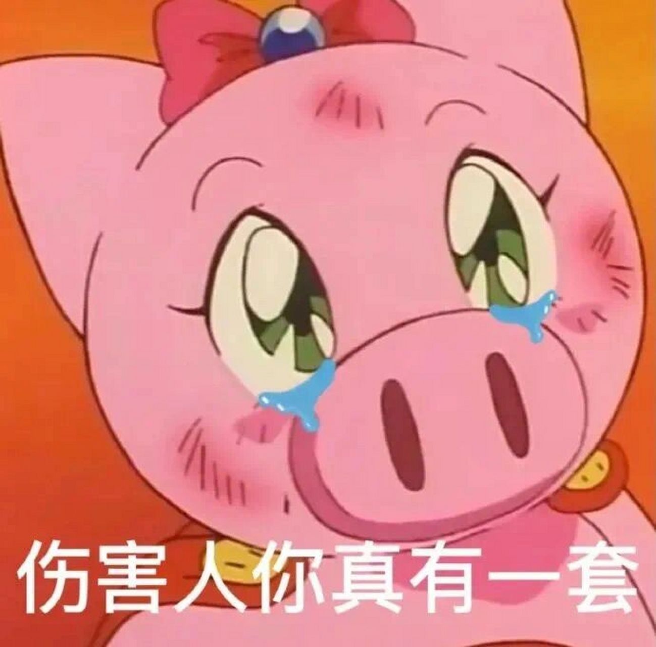 表情包|伤害人你真有一套 别听反方向的钟 有姐在会温暖你的冬