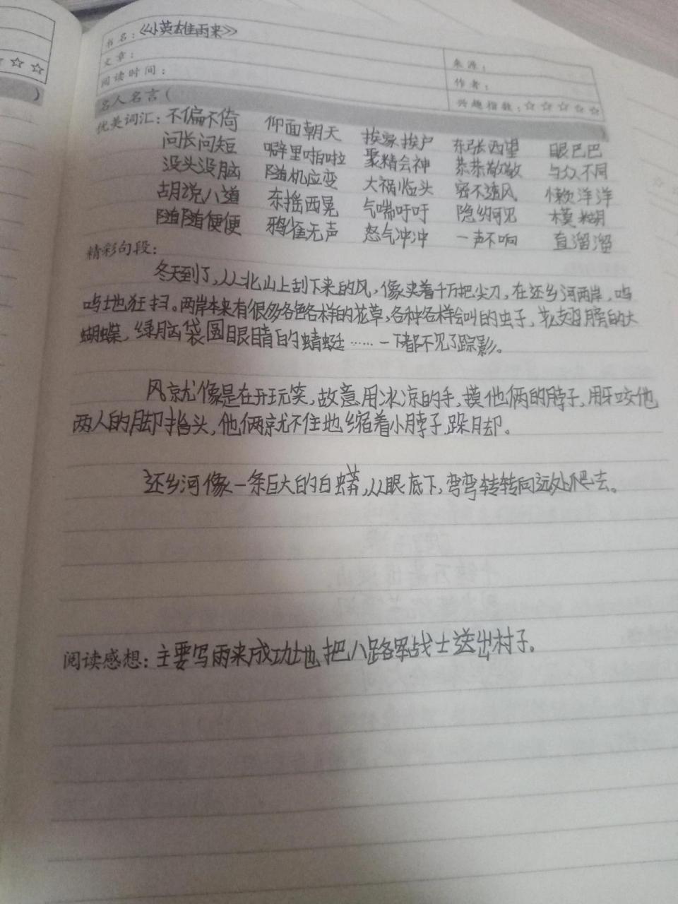 《小英雄雨来》阅读摘抄 字丑勿喷,谢谢