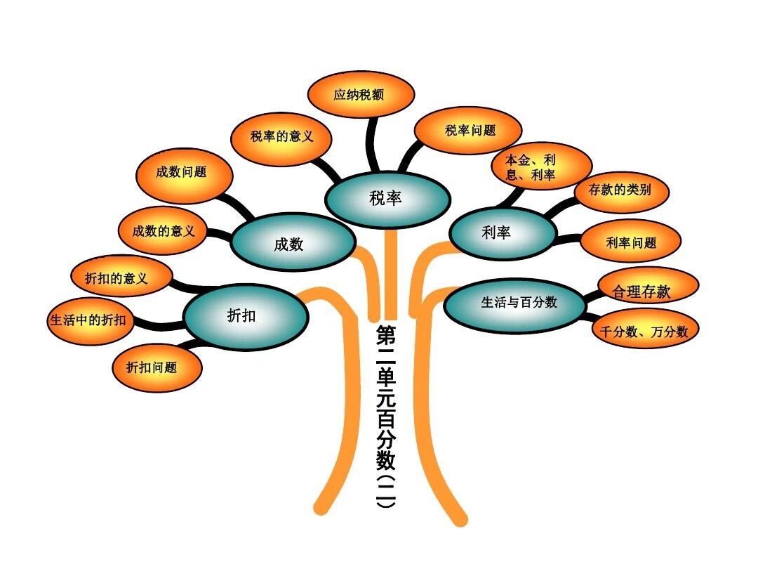 六年级上册数学知识树图片