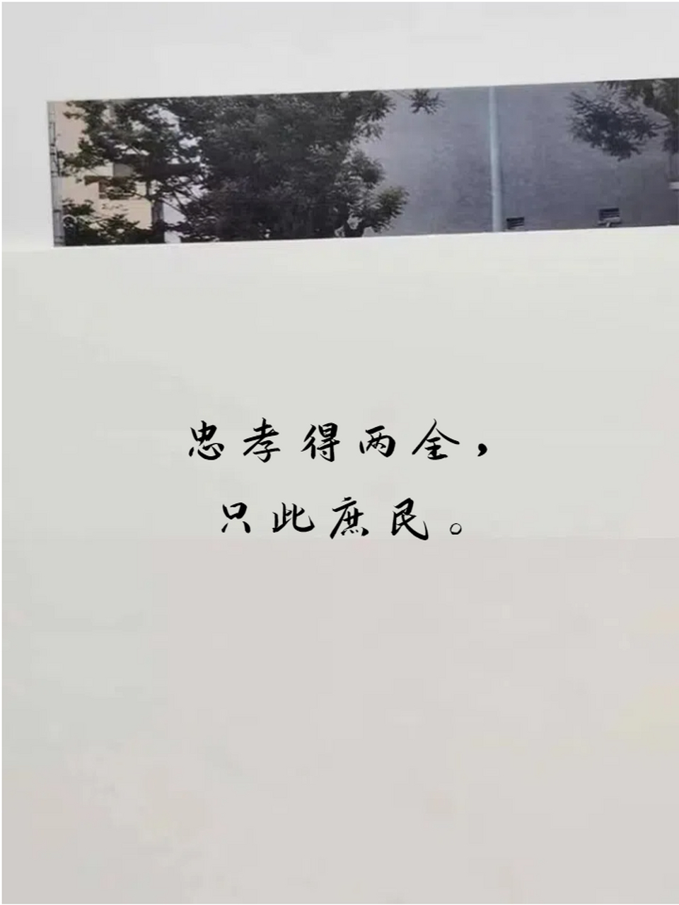 忠孝两难全文字图片图片