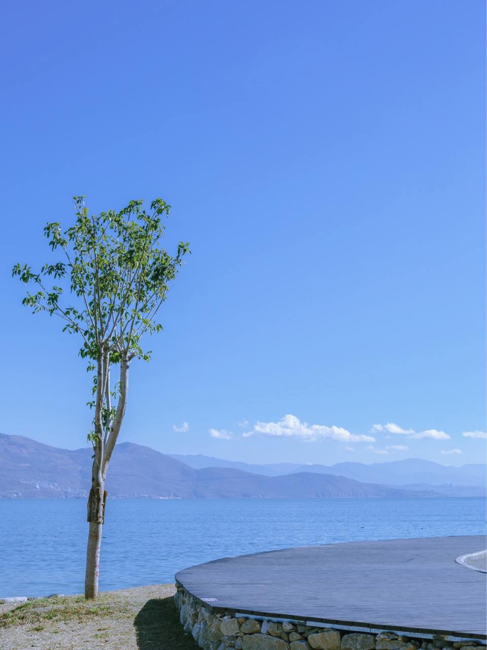 大理洱海网红s弯打卡地,大理小镰仓 去骑行,去拍照,去发呆,艾特你的另