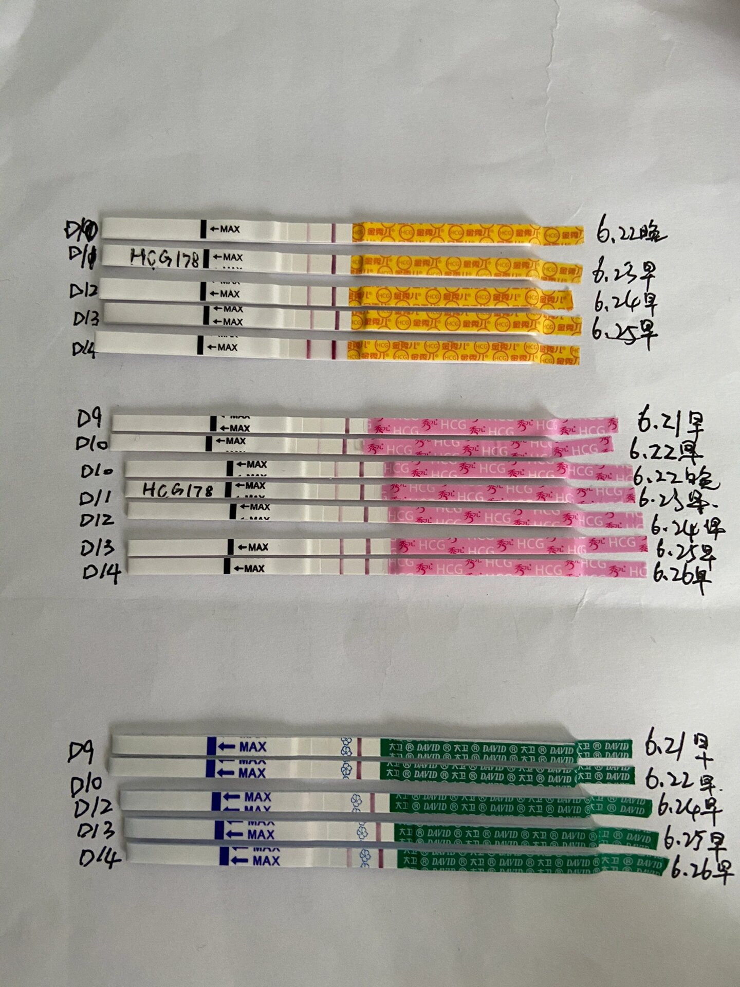 移植后试纸加深图图片