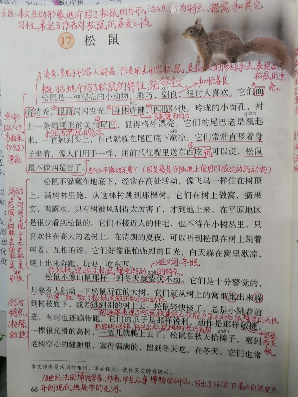 五年级上册语文第17课《松鼠》课堂笔记