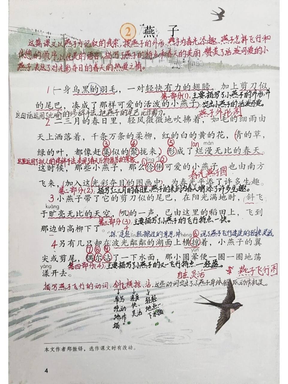 三下第2课《燕子》课堂笔记 三年级语文下册第2课《燕子》:这篇课文
