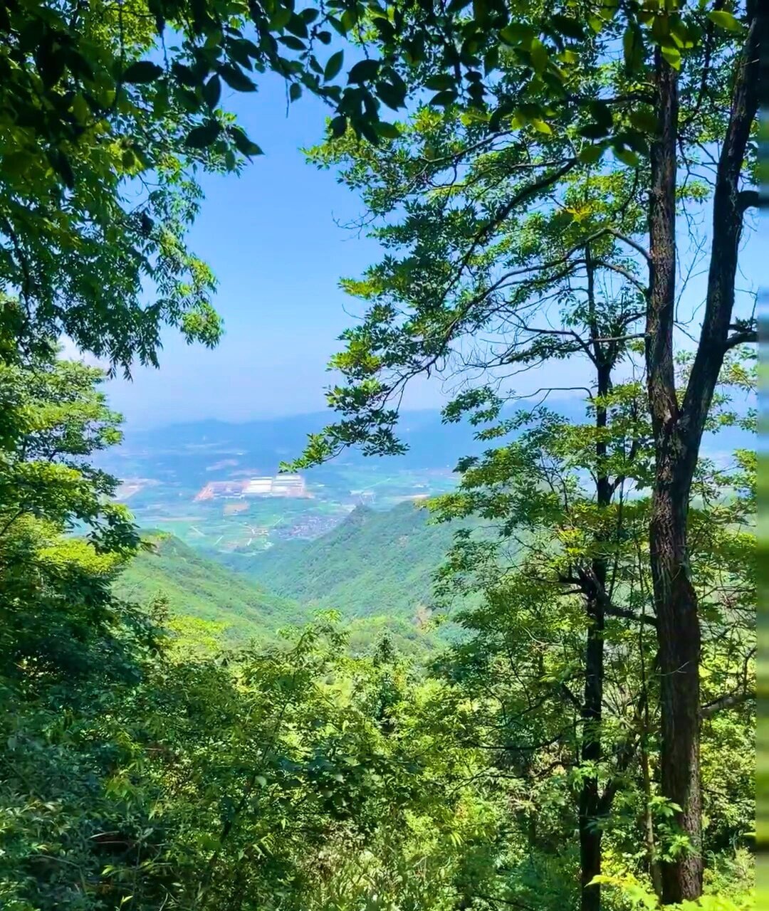 7215地点:浙江省义乌市赤岸镇松瀑山 门票99:免费 交通07