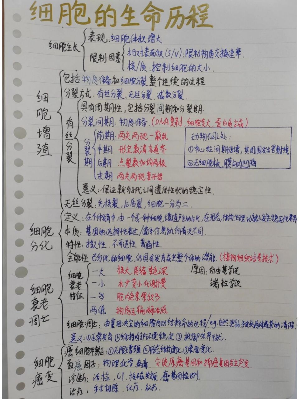 必修一生物第六章 思维导图 人教版生物必修一第六章 思维导图 字太丑