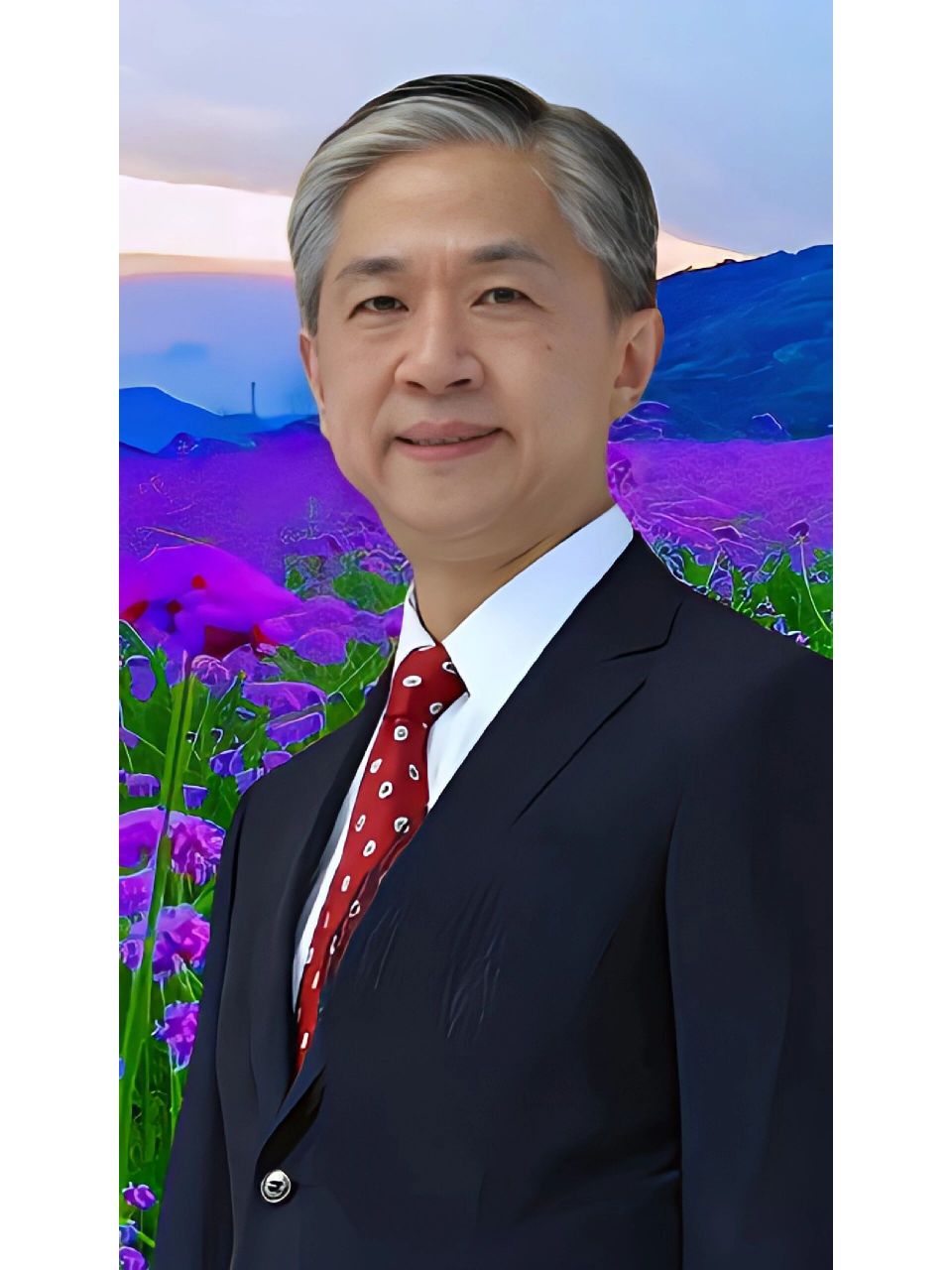 帅气的外交官汪文斌